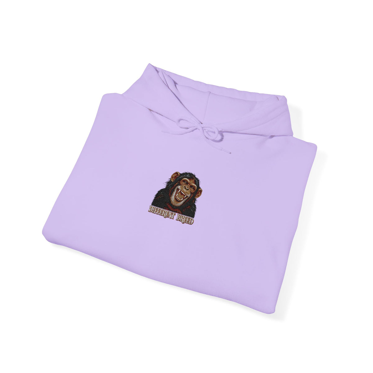 Lion Portrait Hoodie – "Roar Back" Graphic Hooded Sweatshirt