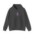 Kingfisher Art Hoodie - Colorful Watercolor Bird Pullover