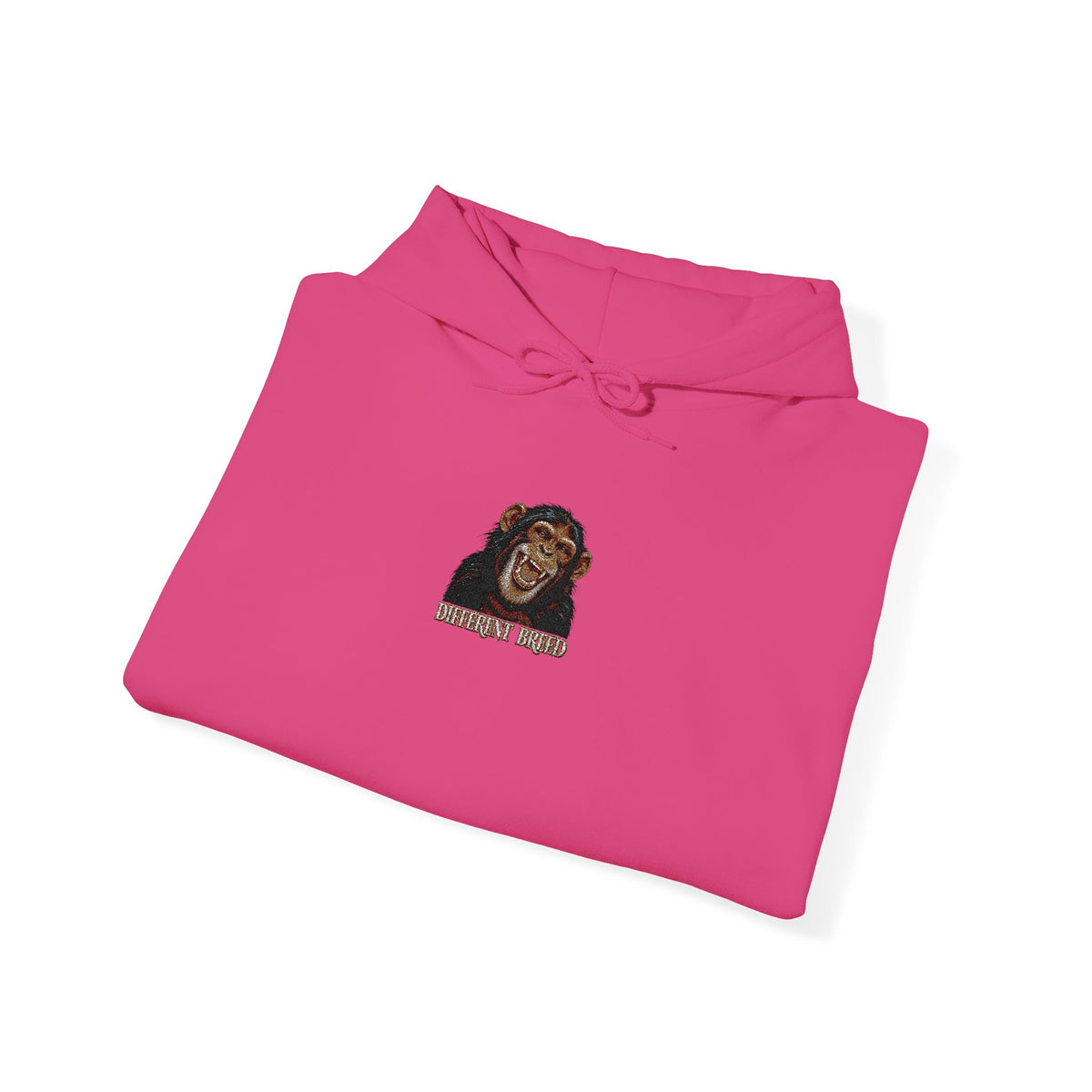 Lion Portrait Hoodie – "Roar Back" Graphic Hooded Sweatshirt