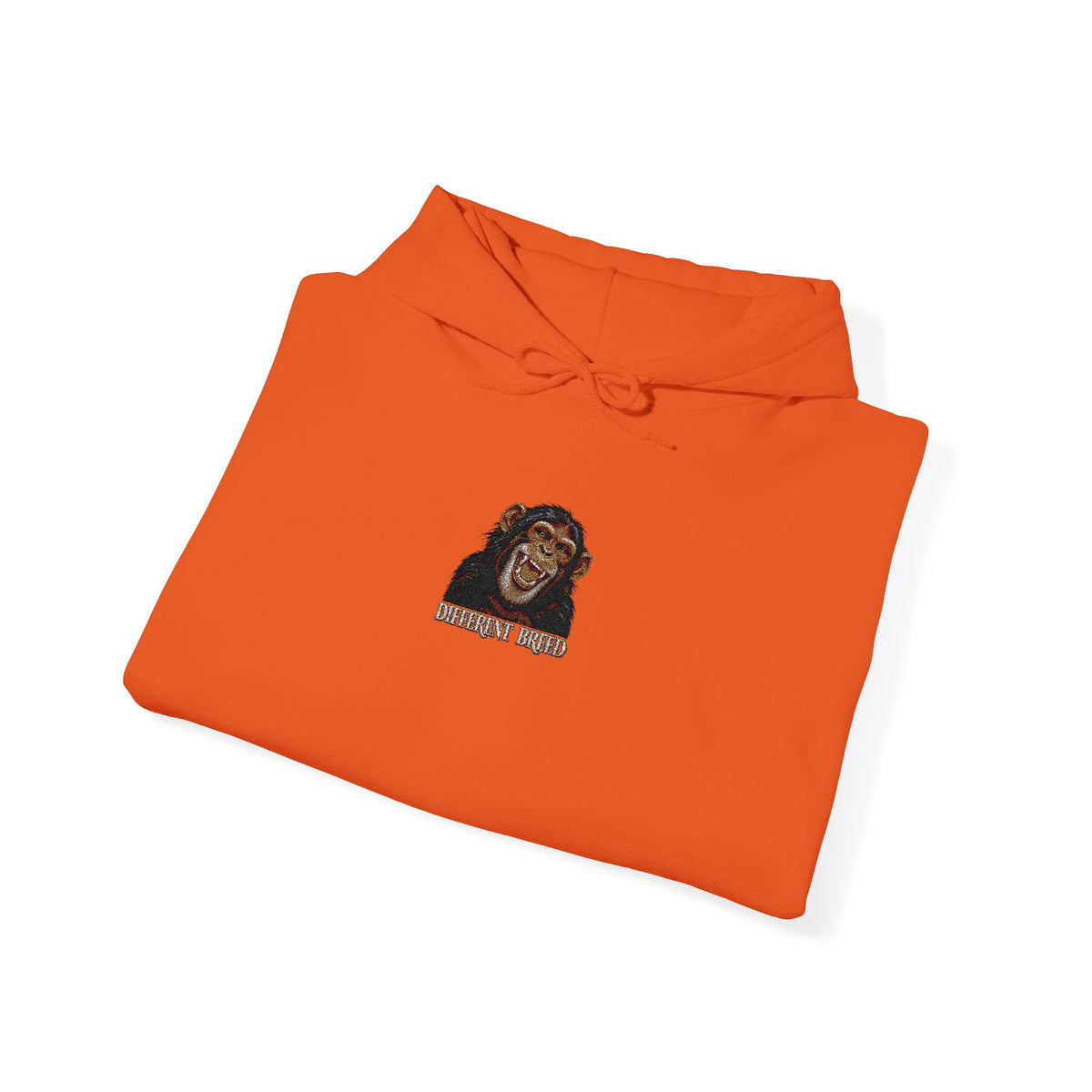 Lion Portrait Hoodie – "Roar Back" Graphic Hooded Sweatshirt