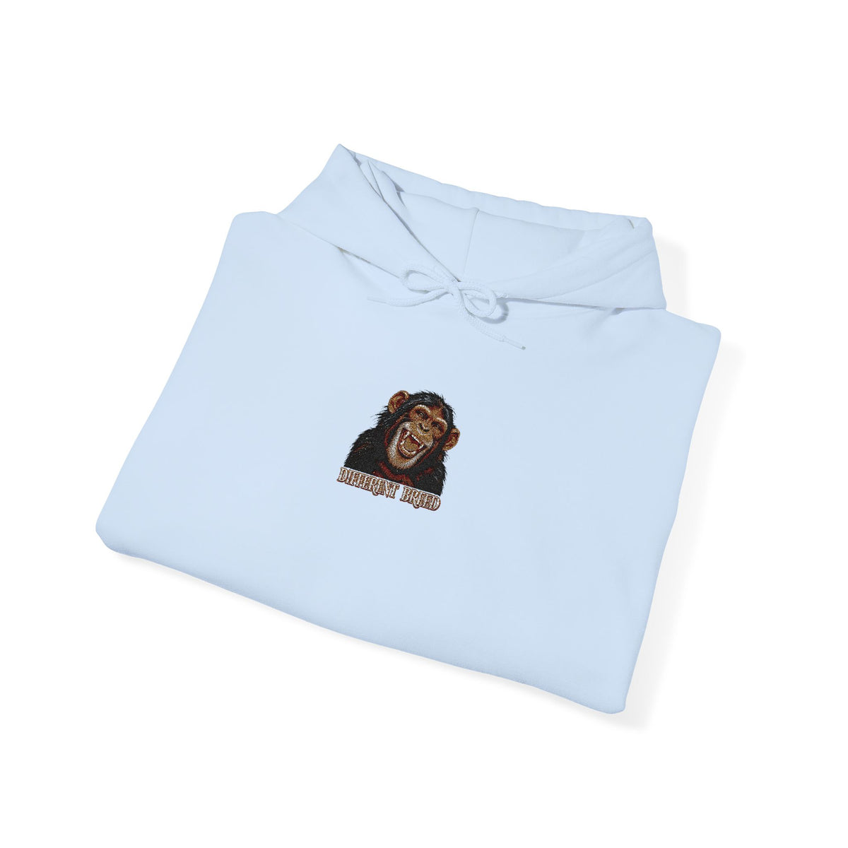 Lion Portrait Hoodie – "Roar Back" Graphic Hooded Sweatshirt
